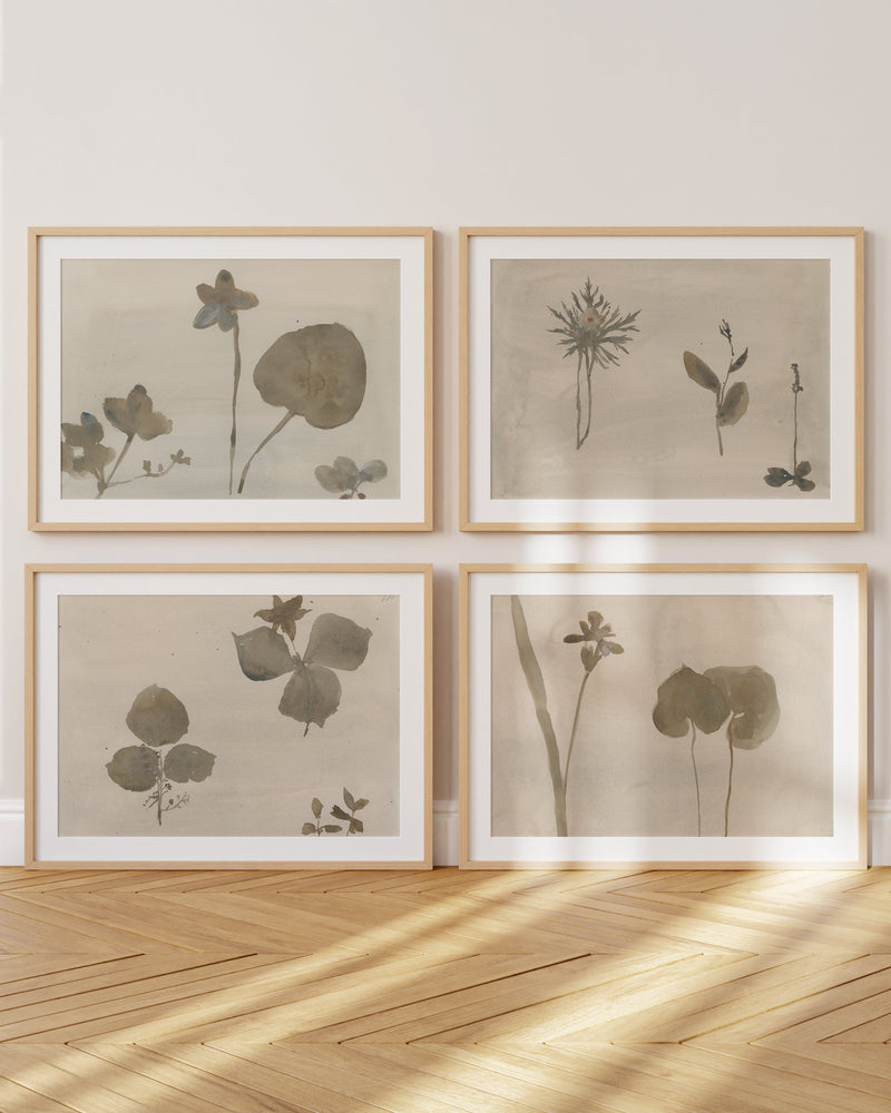 Botanical Thoughts I