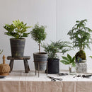 Terra Cotta Basic Planter, Grey Patina