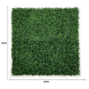 Sample Panel – Dark Boxwood Green Wall (Small Sample) by Designer Plants USA
