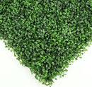 Sample Panel – Dark Boxwood Green Wall (Small Sample) by Designer Plants USA