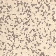 Gray Mottle Porcelain 50x50 Square Foot