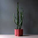 Pillar Planter