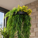Bright Tropical Foliage Artificial Hanging Disc 15.75in – Black Frame – UV Resistant by Designer Plants USA