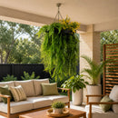 Bright Tropical Foliage Artificial Hanging Disc 15.75in – Black Frame – UV Resistant by Designer Plants USA