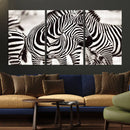 Brilliant Zebra Photography Art Canvas Print Black and White by MyGreatCanvas | Canvas Wall Art Prints | Photo Prints & Wall Decor