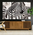 Brilliant Zebra Photography Art Canvas Print Black and White by MyGreatCanvas | Canvas Wall Art Prints | Photo Prints & Wall Decor