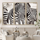 Brilliant Zebra Photography Art Canvas Print Black and White by MyGreatCanvas | Canvas Wall Art Prints | Photo Prints & Wall Decor