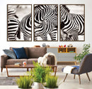 Brilliant Zebra Photography Art Canvas Print Black and White by MyGreatCanvas | Canvas Wall Art Prints | Photo Prints & Wall Decor