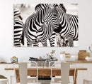 Brilliant Zebra Photography Art Canvas Print Black and White by MyGreatCanvas | Canvas Wall Art Prints | Photo Prints & Wall Decor