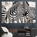 Brilliant Zebra Photography Art Canvas Print Black and White by MyGreatCanvas | Canvas Wall Art Prints | Photo Prints & Wall Decor