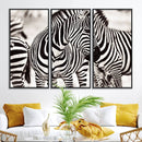 Brilliant Zebra Photography Art Canvas Print Black and White by MyGreatCanvas | Canvas Wall Art Prints | Photo Prints & Wall Decor