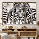 Brilliant Zebra Photography Art Canvas Print Black and White by MyGreatCanvas | Canvas Wall Art Prints | Photo Prints & Wall Decor