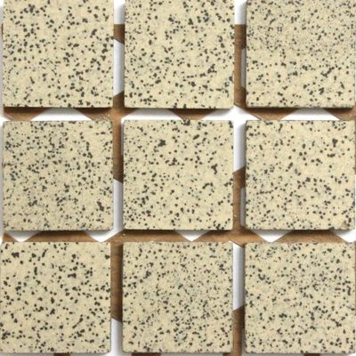 Gray Mottle Porcelain 20x20 Square Foot