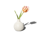 Bud Vase in Adhesion