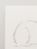 Bunny Charcoal Sketch