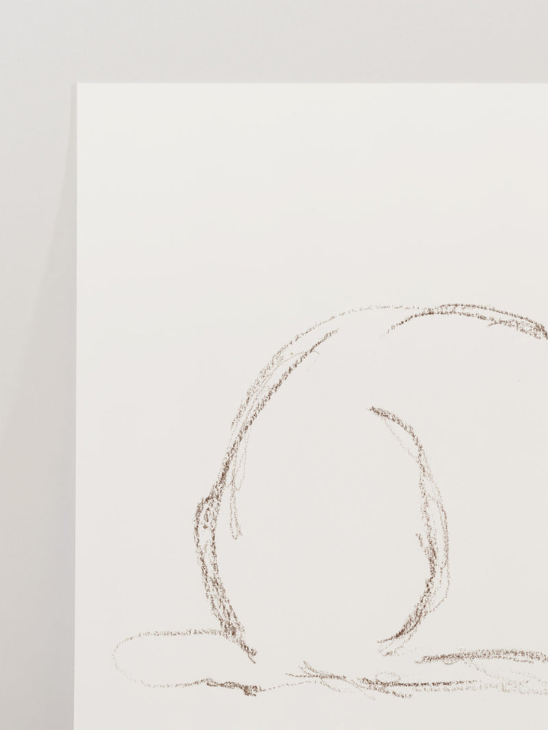 Bunny Charcoal Sketch