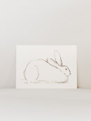 Bunny Charcoal Sketch