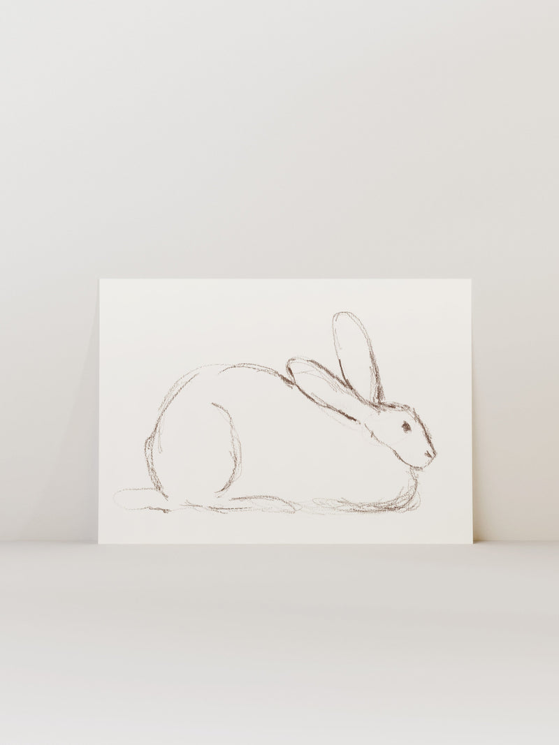 Bunny Charcoal Sketch