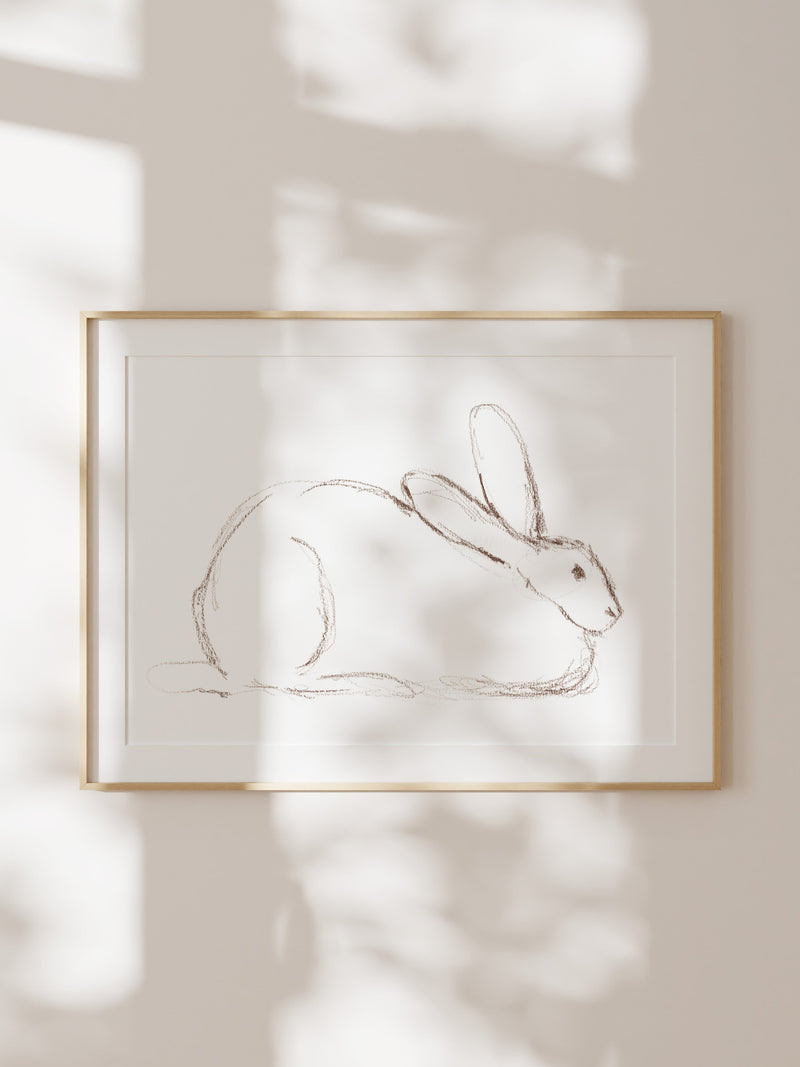 Bunny Charcoal Sketch