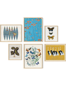 Eclectic gallery wall