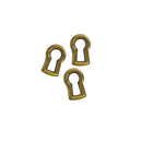 Polished Brass Keyhole Insert