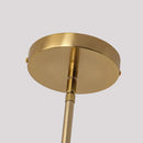 6 Inch Felix 1-Light Island Pendant Light by Parrot Uncle