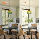6 Inch Felix 1-Light Island Pendant Light by Parrot Uncle