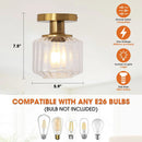 6 Inch Marico 1-Light Semi-Flush Mount Ceiling Light