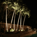 CD20 20W AC12V Low Voltage Ground LED Aluminum Spotlight Waterproof Outdoor Fixture