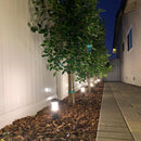 CDPA55 3W 12V Low Voltage 3000K Warm White Integrated LED Garden Bollard Aluminum Path Light
