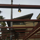 CD75 7W 12V Low Voltage LED Directional Outdoor Landscape Aluminum Spotlight Narrow Beam