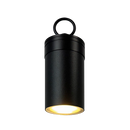CD90 3000K Warm White Integrated LED AC12V Low Voltage Philips Bulb Aluminum Cylinder Pendant Light Hanging Spotlight