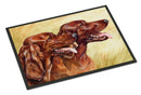 Irish Setters Doormat Indoor Outdoor 24H X 36W Front Door Mat Rugs for Entryway, Non Slip Washable Low Pile,