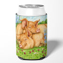 Pigs Tamworths In Clover Can or Bottle Hugger Cooler Sleeve for Standard 12 oz Cans, Insulated Foam Beer & Soda Can Hugger Reusable