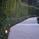 CDPS70 3W 3000K Warm White Integrated LED Stainless Steel and Marble Path Light 12V Low Voltage Outdoor Landscape Lighting