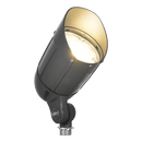 CDRA12 12W 12V Low Voltage Smart Bluetooth RGBW Narrow Beam Directional Outdoor Landscape Aluminum Spotlight with Remote Control