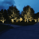 CDRA12 12W 12V Low Voltage Smart Bluetooth RGBW Narrow Beam Directional Outdoor Landscape Aluminum Spotlight with Remote Control