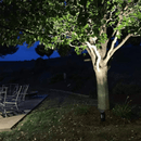 CDRA12 12W 12V Low Voltage Smart Bluetooth RGBW Narrow Beam Directional Outdoor Landscape Aluminum Spotlight with Remote Control