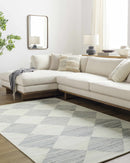 Andrin Light Gray Area Rug