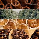 Christmas Amber Reed Diffuser