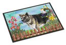 American Akita Spring Doormat - 24x36 Decorative Floor Mat – Indoor/Outdoor Rug with Artistic Flair CK1231JMAT