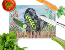 Newfoundland Spring Cutting Board Tempered Glass Kitchen Cutting Surface, Heat Resistant Chopping, Non-Slip Feet, Food Prep & Serving