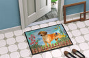 Rhodesian Ridgeback Spring Doormat Indoor Outdoor 18H X 27W Front Door Mat Rugs for Entryway, Non Slip Washable