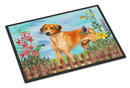 Rhodesian Ridgeback Spring Doormat Indoor Outdoor 18H X 27W Front Door Mat Rugs for Entryway, Non Slip Washable