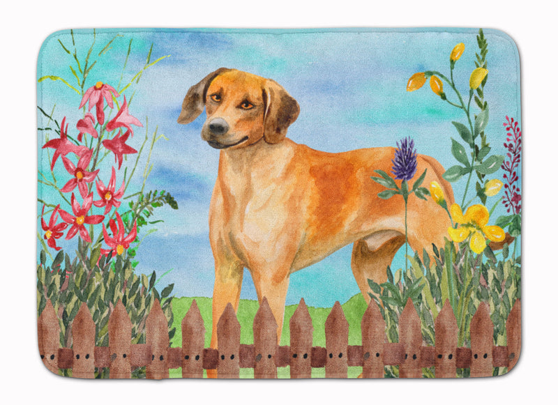 Rhodesian Ridgeback Spring Machine Washable Memory Foam Mat CK1238RUG