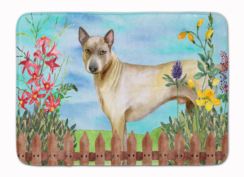 Thai Ridgeback Spring Machine Washable Memory Foam Mat CK1242RUG