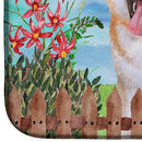 Akita Spring Dish Drying Mat – Absorbent, Artistic Kitchen Essentials CK1265DDM