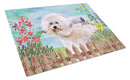 Bichon Frise