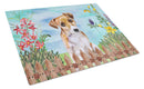 Jack Russell Terrier