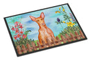 Pharaoh Hound Spring Doormat Indoor Outdoor 18H X 27W Front Door Mat Rugs for Entryway, Non Slip Washable